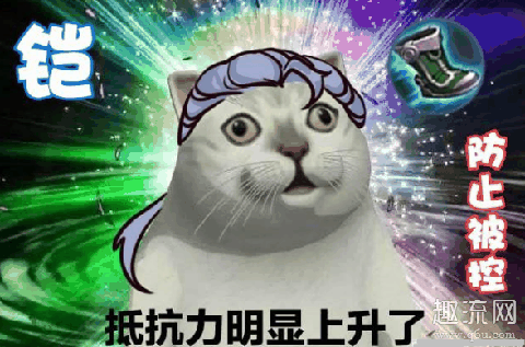 Mur猫什么梗 Mur猫表情包