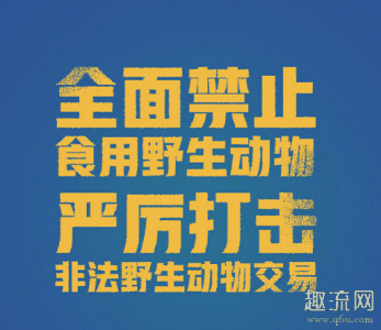 湖北全面禁止食用野生动物潮牌汇潮牌网店 全面禁止食用野生动物意味着什么（湖北全面禁止食用野生动物 全面禁止食用野生动物意味着什么）
