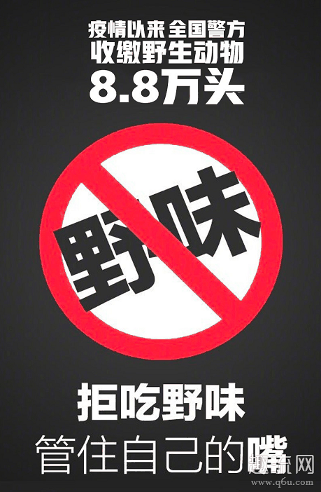 湖北全面禁止食用野生动物 全面禁止食用野生动物意味着什么