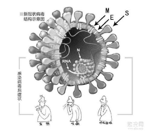 新冠病毒为什么叫流氓病毒 新冠病毒是完美病毒吗