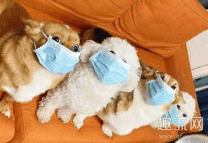 什么时候可以不戴口罩了 新冠肺炎结束后的商机有哪些 