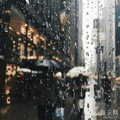 下雨会传染冠状病毒吗 下雨会把病毒冲走吗