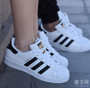 上身的效果潮牌品牌是非常棒的（贝壳头为什么价格不一样 贝壳头拆解测评）