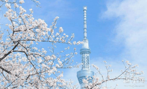 东京迪士尼即将关闭 日本疫情是怎么发生的