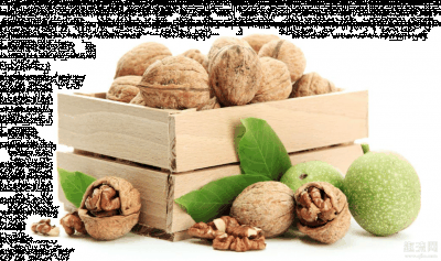核桃真的可以补脑潮牌品牌吗 核桃为什么像大脑（核桃真的可以补脑吗 核桃为什么像大脑）