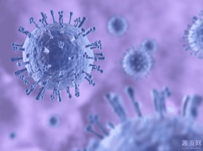 一个核糖核苷潮牌酸分子由磷酸（新型冠状病毒和h1n1哪个厉害 h1n1和新型冠状病毒的区别）