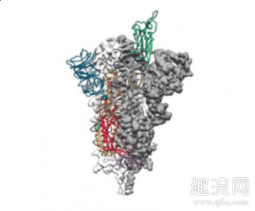 这一发现意味着距离成功研发疫苗更近了一步！具体情况如何面就让小编带领大家潮牌品牌一起来看看吧！ 新冠病毒原子图 美国奥斯汀得州大学和美国国家卫生院的研究人员19日在《科学》期刊发表重磅报告（新冠病毒原子图 新冠病毒会长期存在吗）