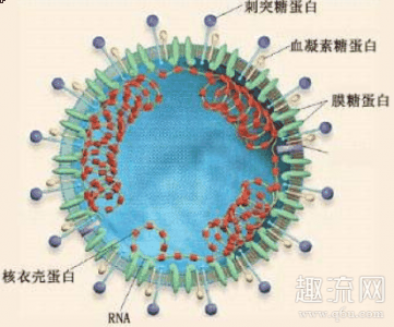 可以用漂白粉对化潮牌汇潮牌网粪池进行消毒处理（粪便中检测出新冠病毒意味着什么 下水道会传染新型冠状病毒吗）