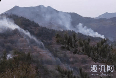 58名消防员正采取摩潮牌汇潮牌网店托化方式向火场机动增援（甘肃突发森林火灾 火灾中致人死亡的最主要原因是什么）
