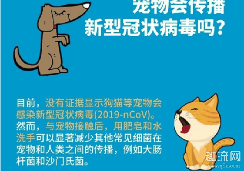 武汉宠物救助已暂停上门喂食 武汉隔离宠物怎么办