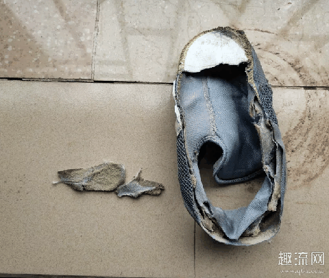 Nike Zoom Live拆解测评 Nike Zoom Live鞋款怎么样