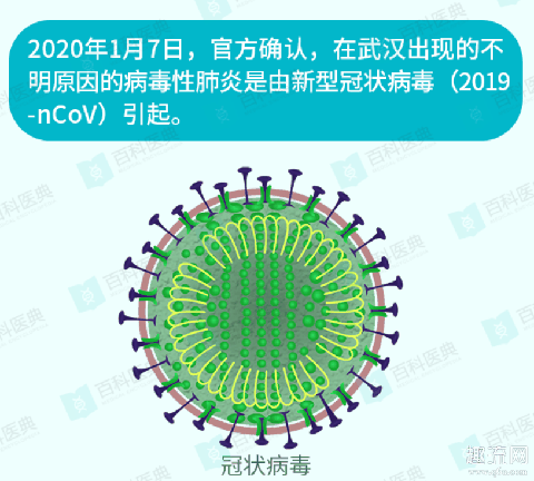4次检测阴性低5次才确诊是什么回事 武汉肺炎应收尽收是什么意思