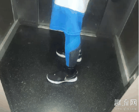 pg4和闪击6全方位对比测评 pg4和闪击6买哪个