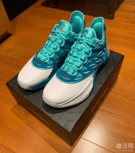阿迪一般潮牌汇潮牌网42.5少数43（海沃德一代和匹克闪现对比测评 海沃德一代和匹克闪现尺码怎么选）