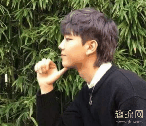 什么是鲻鱼头 鲻鱼头怎么读