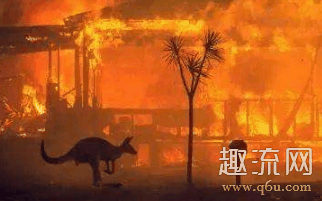 CLOT两款澳大利亚山火单品限量发售 CLOT的T恤如何辨别真假