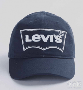 都是世界知名潮牌信息的牛仔裤品牌（李维斯是什么牌子 levis和lee哪个档次高）