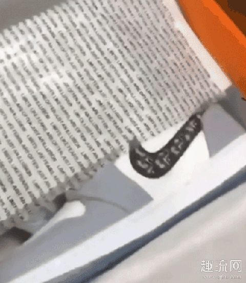 Travis Scott上脚Dior x AJ1 Dior x AJ1细节赏析 