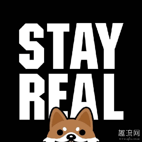 stayreal什么档次 stayreal品牌定位
