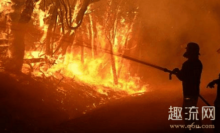 NOAH澳洲火灾限定款亮相 澳大利亚山火怎么样了