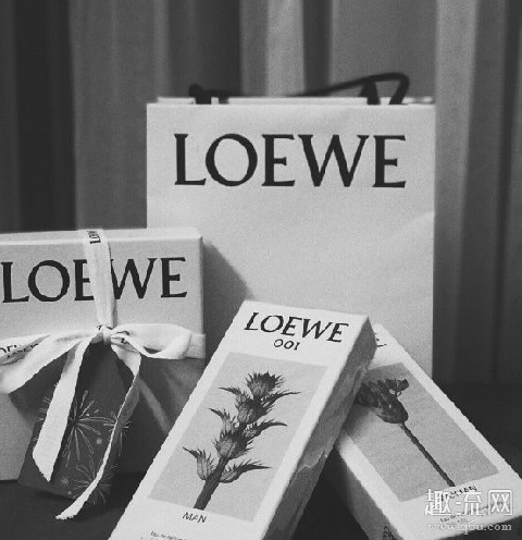 loewe001为什么叫事后清晨 loewe001浓香和淡香的区别