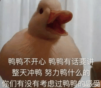  今天李佳奇潮牌汇潮牌网店直播卖卤鸭（duck不必什么意思 duck不必类似表情包谐音梗有哪些）