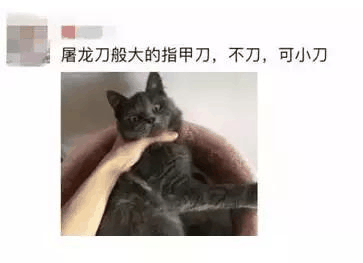  黑话2. 秒价 和自潮牌留款的意思差不多（球鞋圈中的专业术语有哪些 球鞋圈中的专业术语清单）