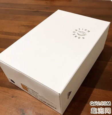  这款配色好像是阿潮牌迪一直喜欢用的颜色（ adidas UB19 Consortium绿色开箱 那里可以买到UB19 Consortium）
