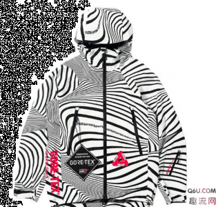  Gore-Tex 系列由潮牌资讯四种配色来完成（PALACE“斑马”系列正式发布 PALACE“斑马”系列入手方法）