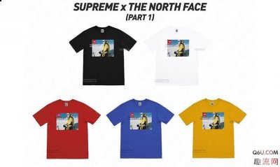  配件单品 皮质小挎包也同潮牌样都由红、黑、绿、紫四种颜色（Supreme x TNF2018秋冬联名发布 皮质潮流单品好看吗）