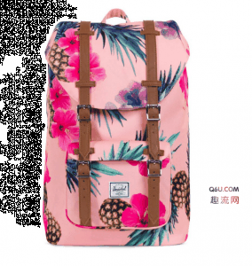  Herschel简介 来自加拿大的制包品牌 Hersc潮牌商城hel Supply 于2012年春季释出全新包款Duffels以及科技配件系列（Herschel Supply Co印花包袋在哪买 Herschel Supply Co印花包袋好看吗）