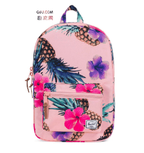 Herschel Supply Co印花包袋在哪买 Herschel Supply Co印花包袋好看吗