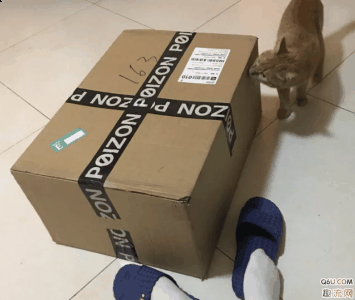 两双鞋在木地潮牌信息板上两者皆可（AJ1314冠军套装开箱测评 AJ1314冠军套装如何）