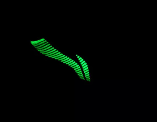 李宁驭帅11实战怎么样 驭帅11为什么没有李宁LOGO