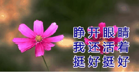佛系九连表情包 佛系九连是什么梗