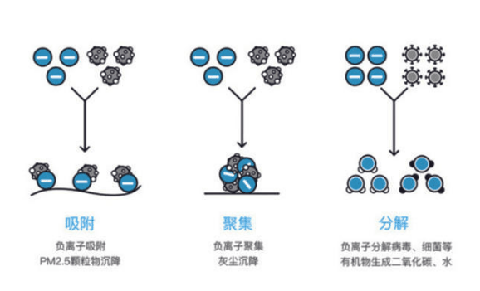 堪比颈间“潮牌汇潮牌网店小森林”（CoClean随身空气净化器效果如何 CoClean随身空气净化器在哪购买）