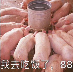  7、清热祛湿： 茯苓潮牌信息、薏仁、莲子随意搭配（猪精女孩怎么养生 猪精女孩的健康养生指南）