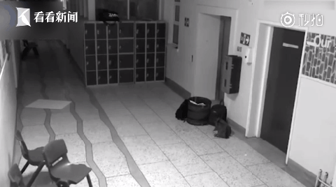 百年老校灵异现象是真的假的 爱尔兰鹿苑中学闹鬼事件真相