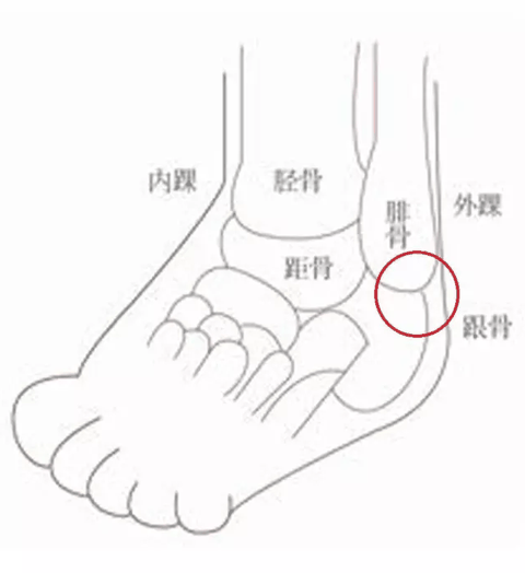 匹克帕克6实战测评潮牌品牌 匹克帕克6脚感怎么样（匹克帕克6实战测评 匹克帕克6脚感怎么样）