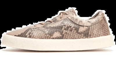 椰子Season 6蟒纹版好看吗 阿潮牌迪达斯YEEZY Season 6「Python」多少钱（椰子Season 6蟒纹版好看吗 阿迪达斯YEEZY Season 6「Python」多少钱）