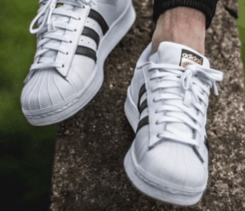 阿迪达斯贝壳头所有款式介绍 Adidas贝壳头怎么样