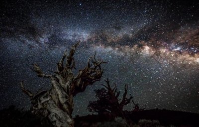 在外观看来就是一潮牌汇潮牌网款普通的全白复古跑鞋（星空配色球鞋有哪些 星空配色篮球鞋一览）