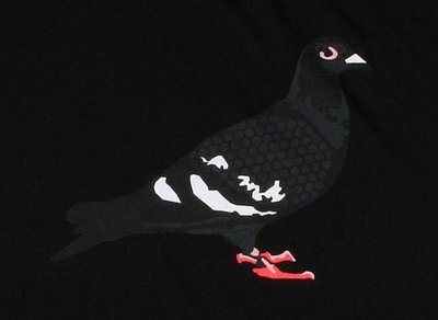传言将以黑色潮牌商城作为主色调呈现（Dunk SB “黑鸽子”好看吗 耐克Dunk SB “pigeon”黑色款价格）