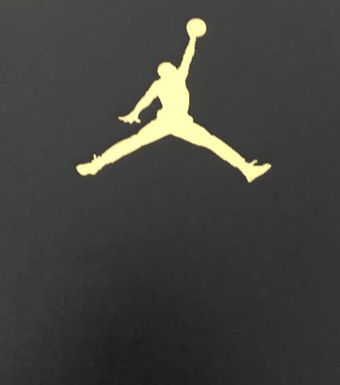 AJ 10 Charlotte开箱图 Air Jordan 10 Charlotte 实物欣赏