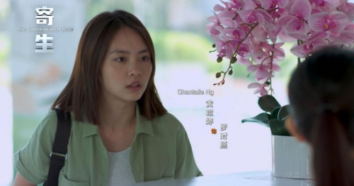 这部作品如今仍潮牌信息然活跃在国际舞台（黄暄婷凭《过江新娘》再度入围国际奖项为新剧改变发型）