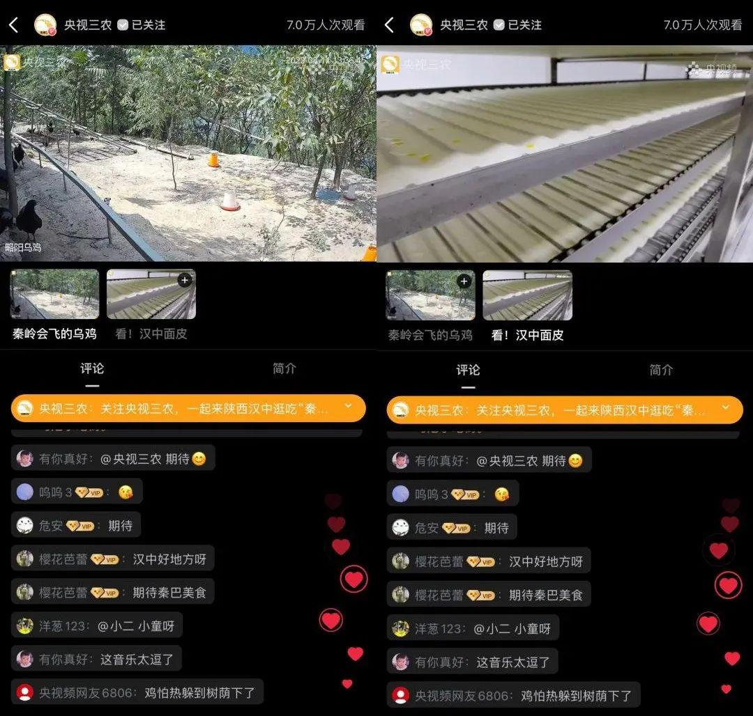攒劲滴很！《田园过大节》走潮牌汇潮牌网店进陕西汉中，秦巴饮食文化节来啦！（攒劲滴很！《田园过大节》走进陕西汉中，秦巴饮食文化节来啦！）