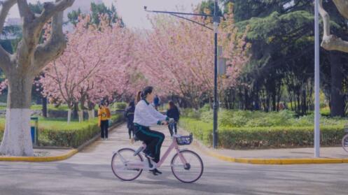 哈啰发布2022年高校骑行潮牌资讯趣味榜单今年天秤座最爱骑车（哈啰发布2022年高校骑行趣味榜单今年天秤座最爱骑车）