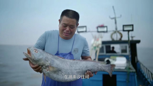 将物产馈赠潮牌给了渔民（《人间有味山河鲜》上线，海鲜与劲酒越吃越有）