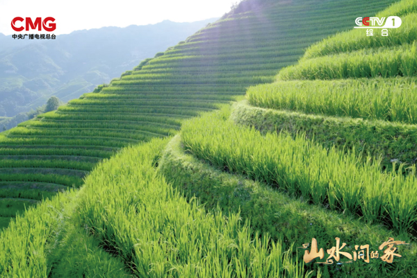 从砍竹、刮青到分丝 2022秋冬潮牌新款推荐（种田就是种风景！《山水间的家》见证乡村十年绿色蝶变）