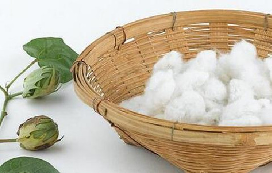 这种面料的特点就是吸湿性能优秀 潮牌冬季如何御寒提醒（冰丝针织是什么面料 冰丝针织面料的特点 ）